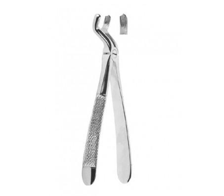 Extracting Forceps